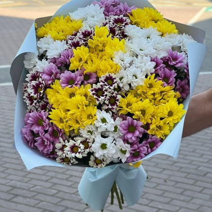 Букет из разноцветных хризантем - купить с доставкой в Лиски